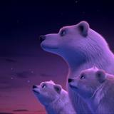 Kutup Kahramanları Filmi Fotoğrafları