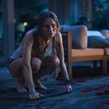 Primat Filmi Fotoğrafları