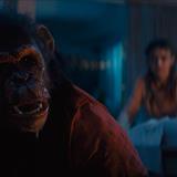 Primat Filmi Fotoğrafları