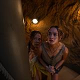 Primat Filmi Fotoğrafları