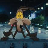 Coyote Acme'ye Karşı Filmi Fotoğrafları