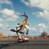Coyote Acme'ye Karşı Filmi Fotoğrafları