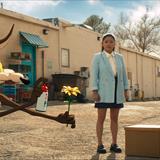 Coyote Acme'ye Karşı Filmi Fotoğrafları