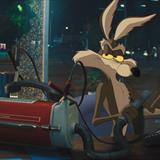 Coyote Acme'ye Karşı Filmi Fotoğrafları
