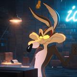 Coyote Acme'ye Karşı Filmi Fotoğrafları