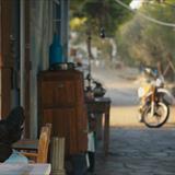 Tavuk Filmi Fotoğrafları