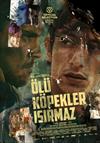 Ölü Köpekler Isırmaz