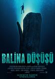 Balina Düşüşü