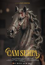 Cam Sehpa