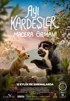 Ayı Kardeşler: Macera Ormanı