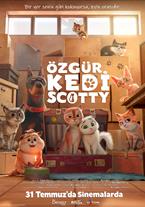 Özgür Kedi Scotty