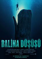 Balina Düşüşü