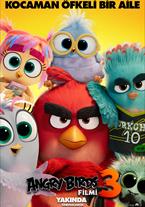 Angry Birds Filmi 3