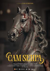 Cam Sehpa