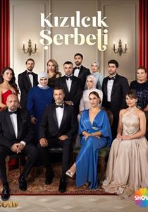 Kızılcık Şerbeti Dizisi Posterleri