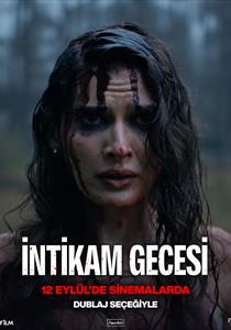 İntikam Gecesi Filmi Posterleri