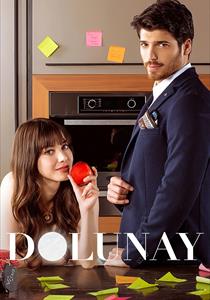 Dolunay Dizisi Posterleri