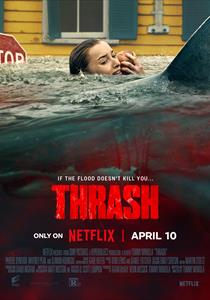 Ani Saldırı Filmi Posterleri