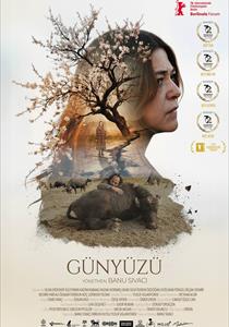 Günyüzü Filmi Posterleri