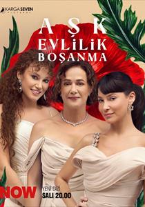 Aşk Evlilik Boşanma Dizisi Posterleri