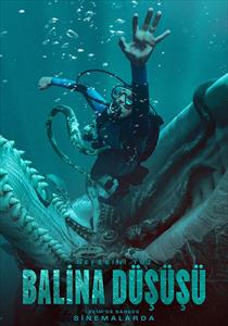 Balina Düşüşü Filmi Posterleri