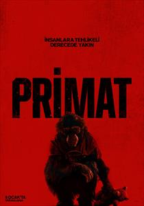 Primate