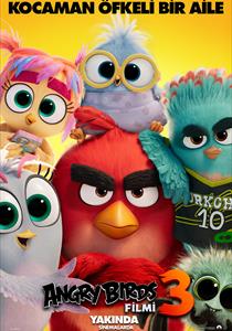 The Angry Birds Movie 3