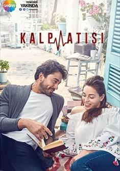 Kalp Atışı