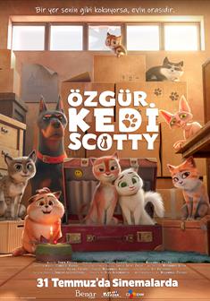 Özgür Kedi Scotty