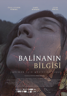 Balinanın Bilgisi