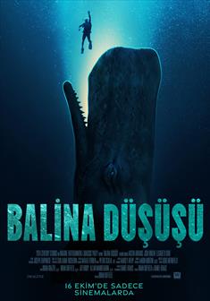 Balina Düşüşü