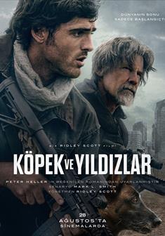Köpek ve Yıldızlar