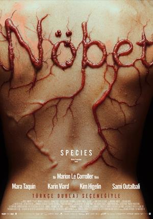 Nöbet