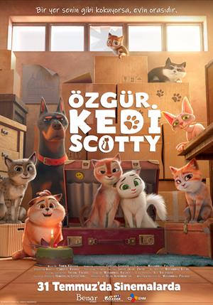 Özgür Kedi Scotty
