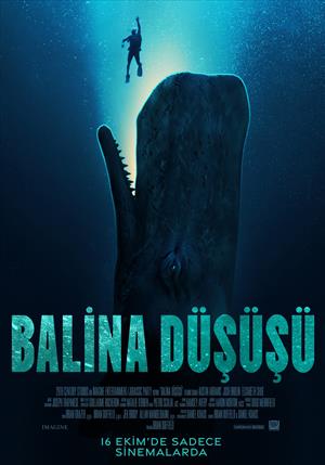 Balina Düşüşü