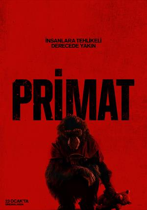 Primat