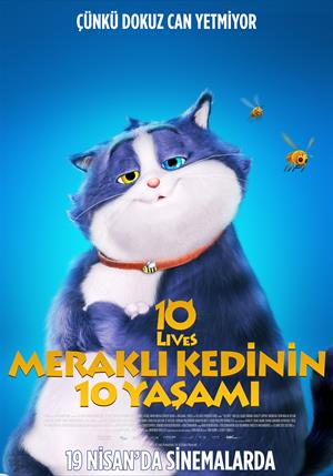 Meraklı Kedinin 10 Yaşamı