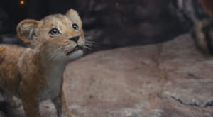 Box Office ABD: Mufasa: Aslan Kral üçüncü hafta sonunda zirveyi gördü