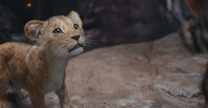 Box Office ABD: Mufasa: Aslan Kral üçüncü hafta sonunda zirveyi gördü