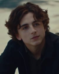 Timothée Chalamet'in fotoğrafı.