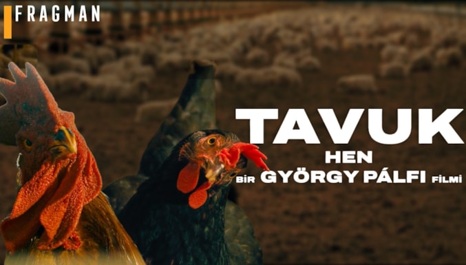 Tavuk Filmi Fragman (Altyazılı)