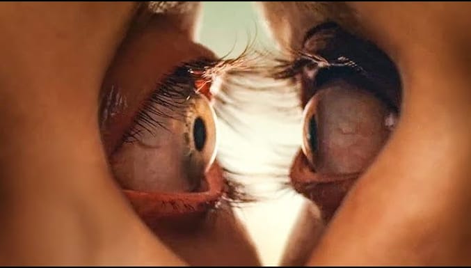 Birlikte Filmi Dublajlı Fragman