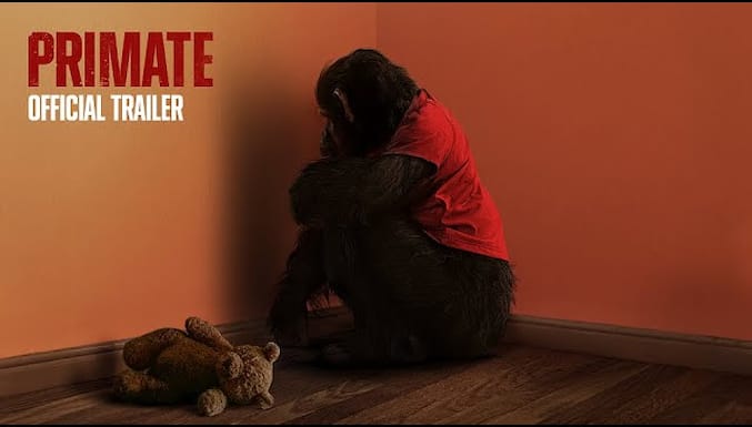 Primat Filmi Fragman (Altyazılı)